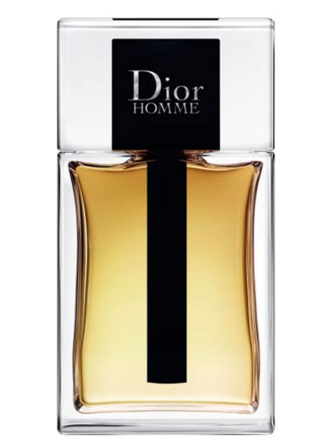 dior eau pour homme|Dior Homme original vs 2020.